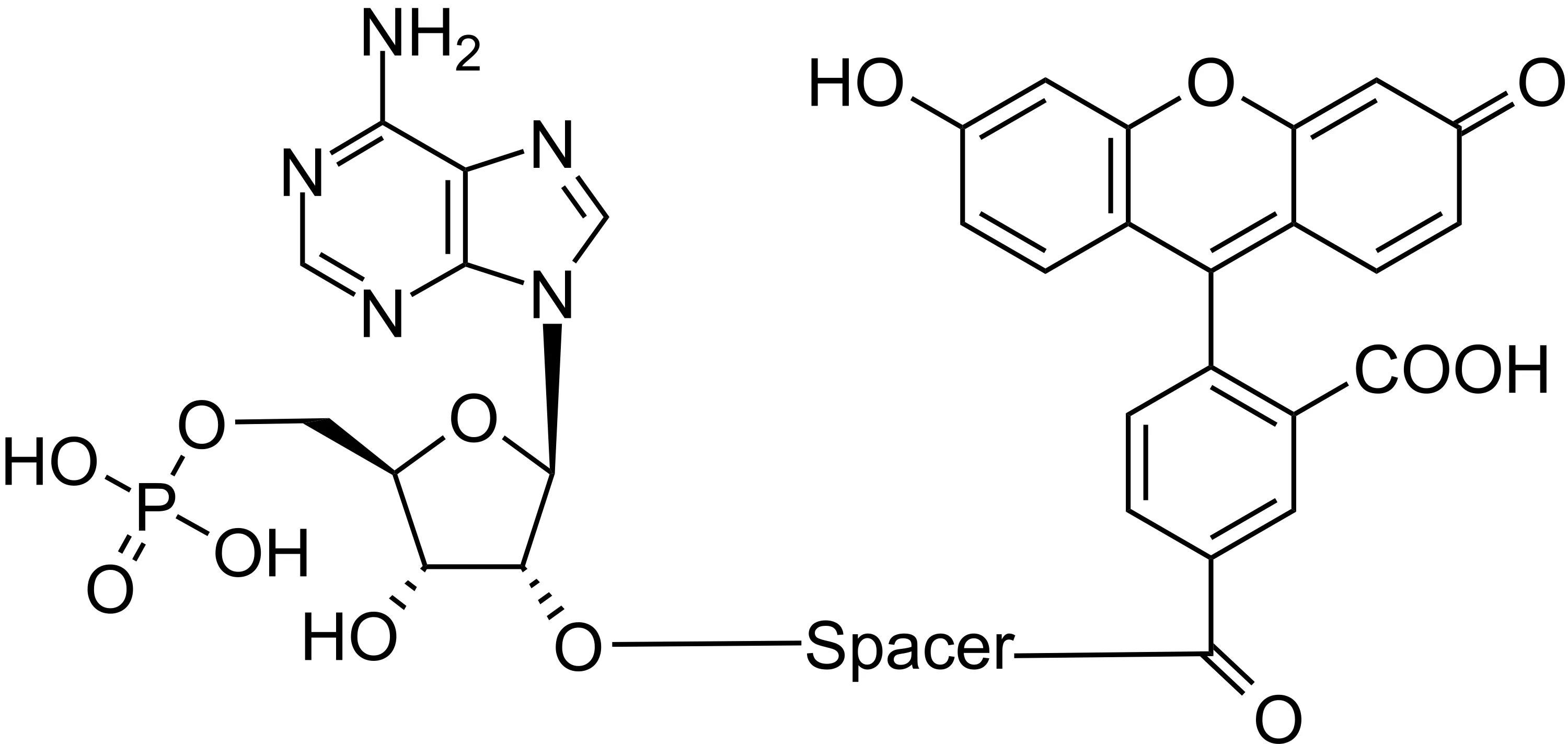 AMP-Fluorescein conjugate calibrator - image 1