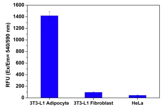 Amplite® Fluorimetric Glycerol 3-Phosphate (G3P) Assay Kit - image 1