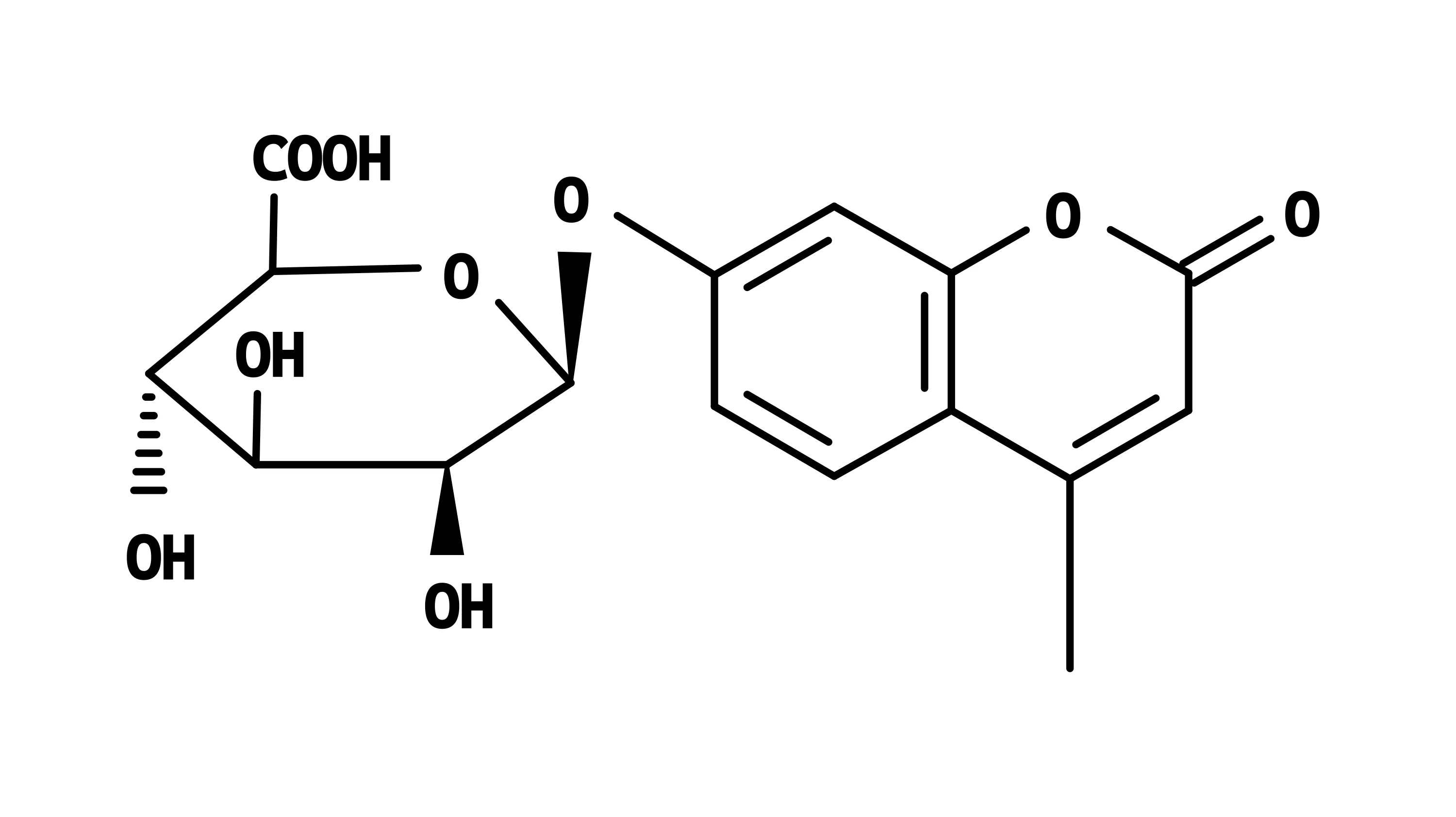 MUGlcU [4-Methylumbelliferyl-beta-D-glucuronide] *CAS 881005-91-0* - image 1