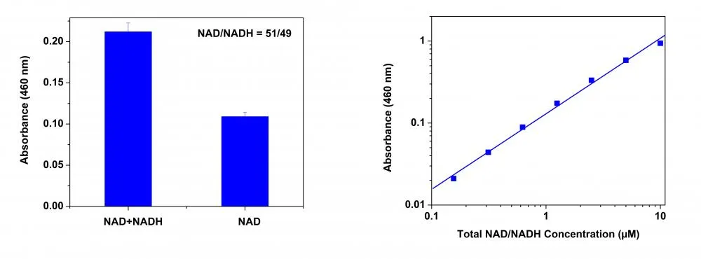 Amplite® Colorimetric NAD/NADH Ratio Assay Kit - image 2