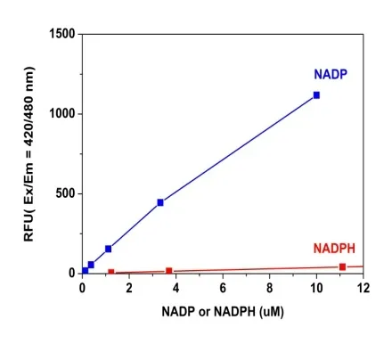 Amplite® Fluorimetric NADP Assay Kit *Blue Fluorescence* - image 2