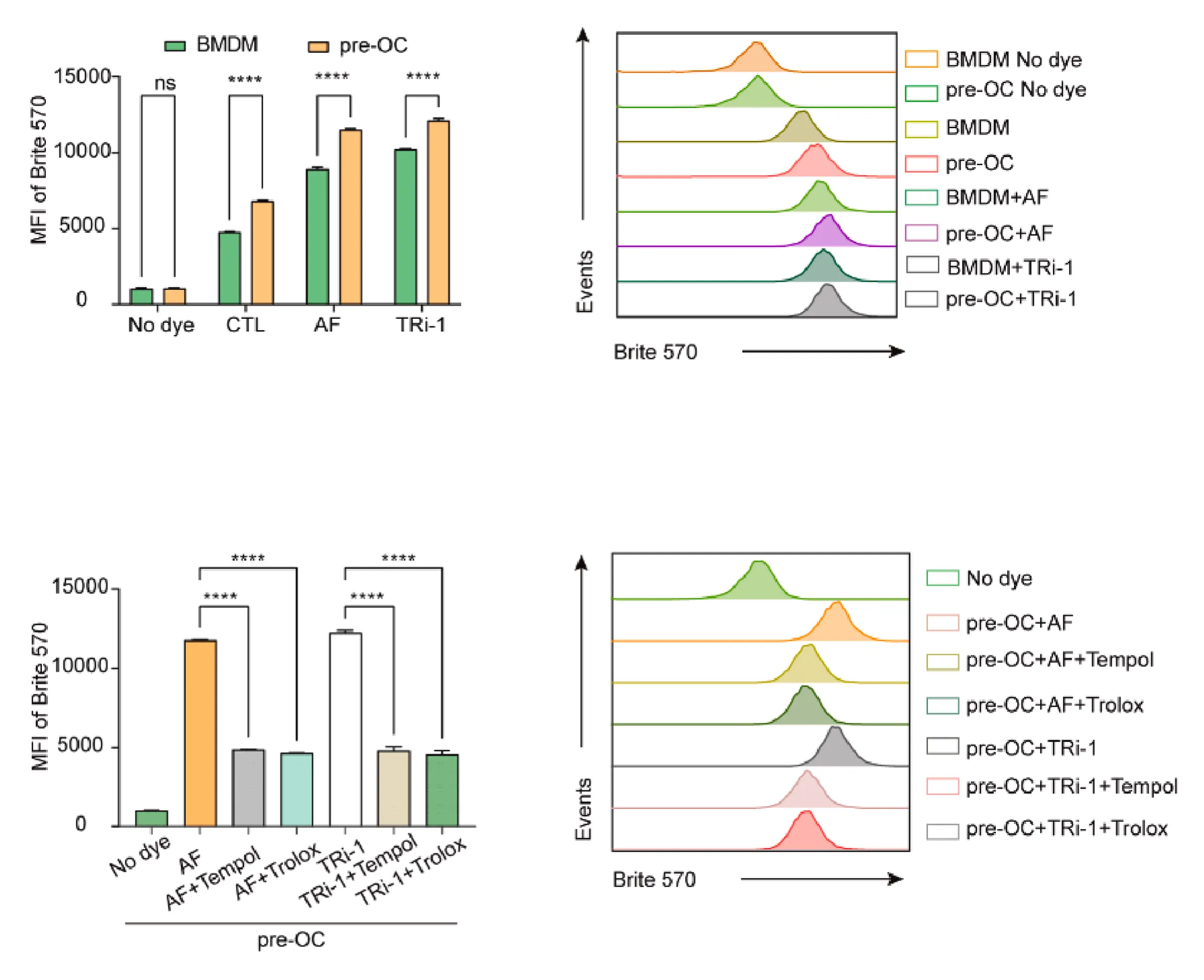 ROS Brite™ 570 *Optimized for Detecting Reactive Oxygen Species (ROS)* - image 2