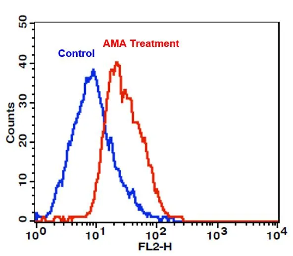 MitoROS™ 580 *Optimized for Detecting Reactive Oxygen Species (ROS) in Mitochondria* - image 2