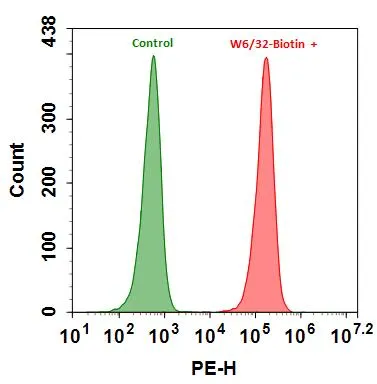 RPE-streptavidin conjugate - image 2
