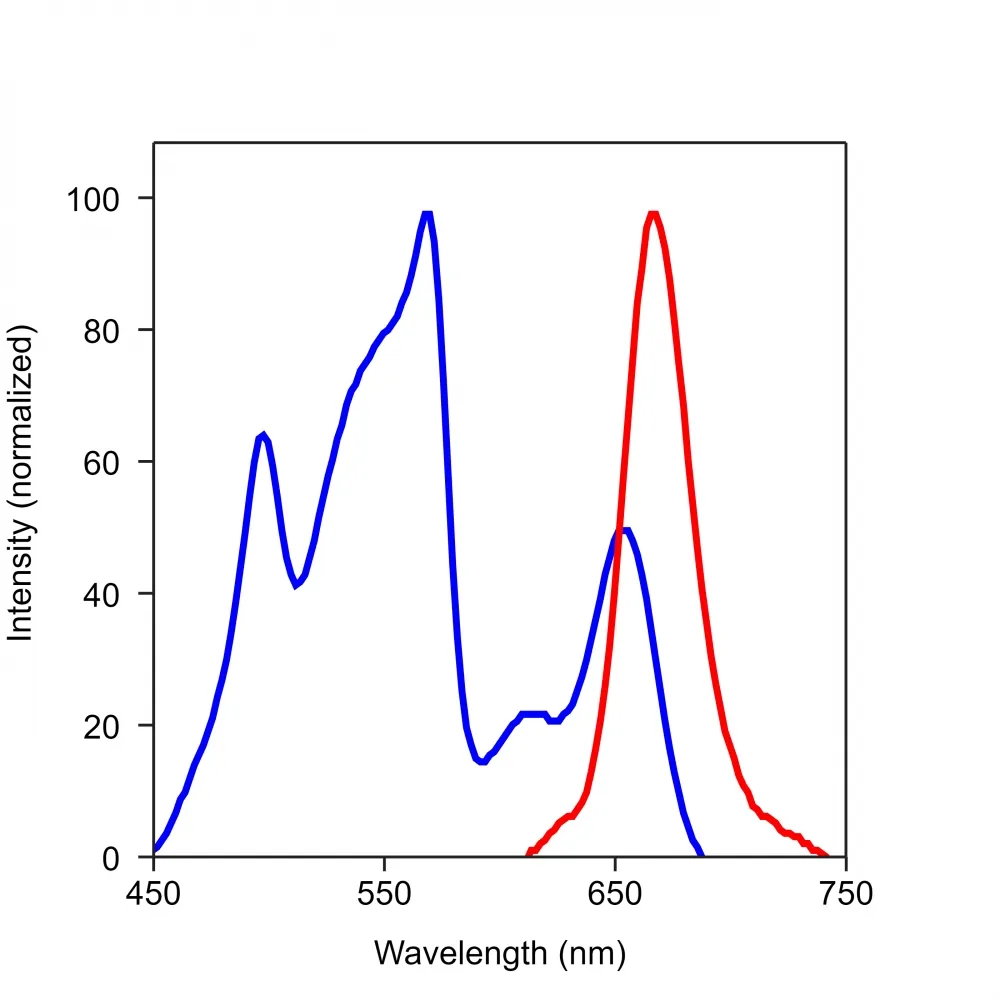 RPE-iFluor® 647-streptavidin conjugate - image 1