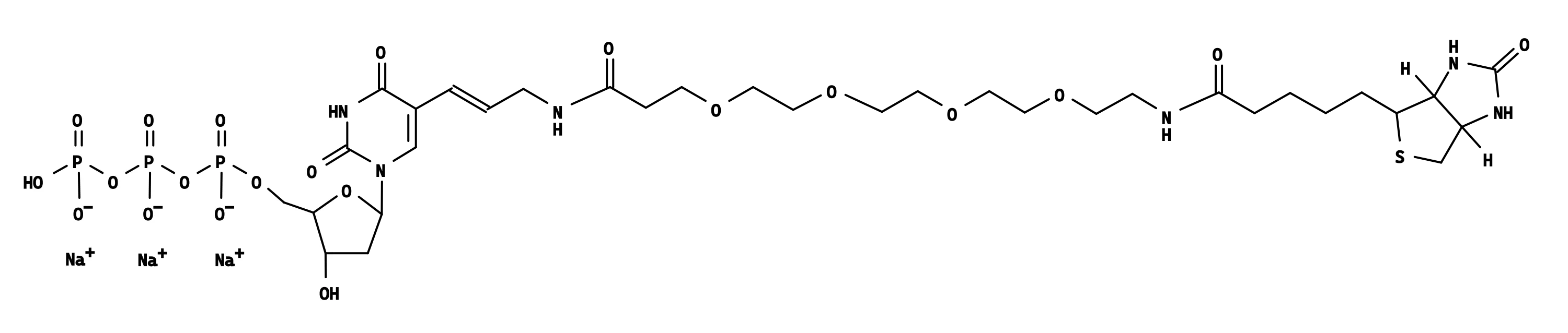 Biotin-20-dUTP *1 mM in TE Buffer (pH 7.5)* - image 1