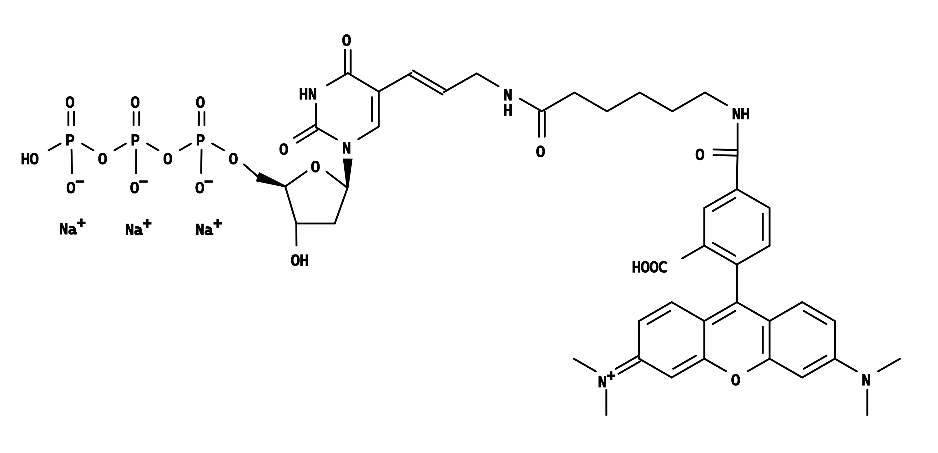Tetramethylrhodamine-dUTP *1 mM in TE Buffer (pH 7.5)* - image 1