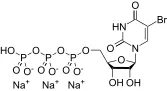 BrUTP [5-Bromouridine 5'-triphosphate] *10 mM in TE buffer* *CAS 161848-60-8* - image 1