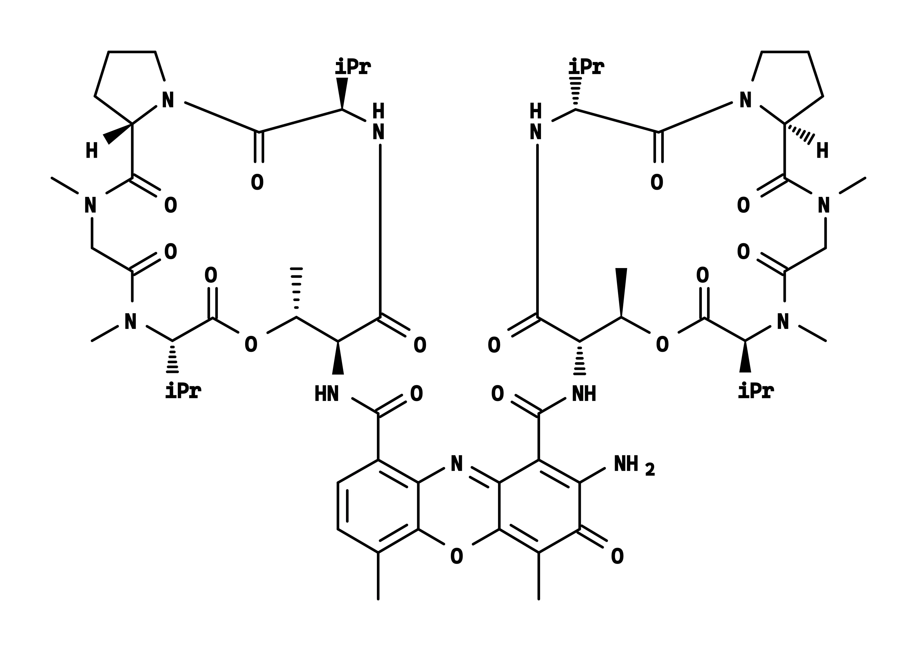 Actinomycin D - image 1