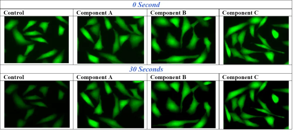 FluoroQuest™ Anti-fading Kit I *Optimized for Slide Imaging* - image 1