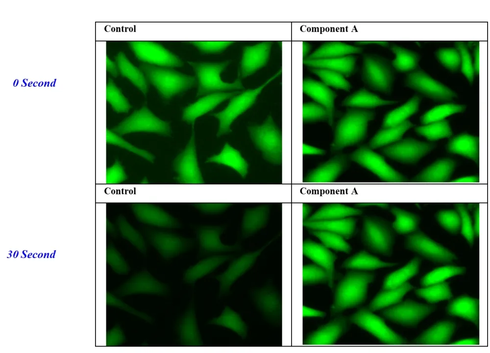 FluoroQuest™ Anti-fading Kit II *Optimized for Plate Imaging* - image 1