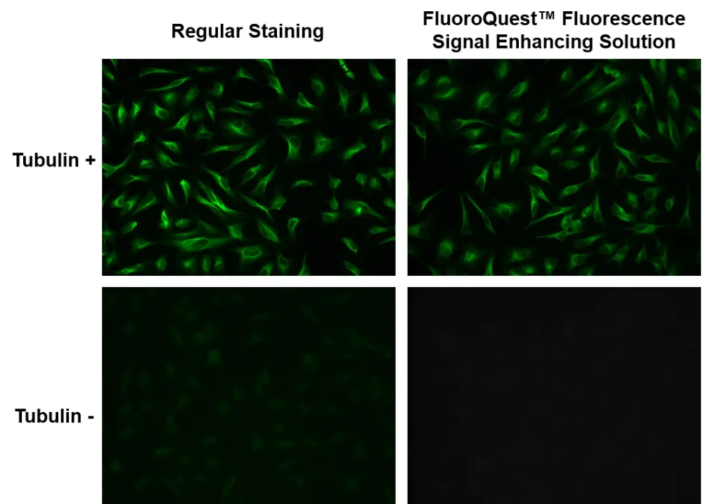 FluoroQuest™ Fluorescence Signal Enhancing Solution - image 1