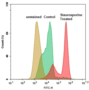 Cell Meter™ Live Cell Caspase 3/7 Binding Assay Kit *Green Fluorescence* - image 2
