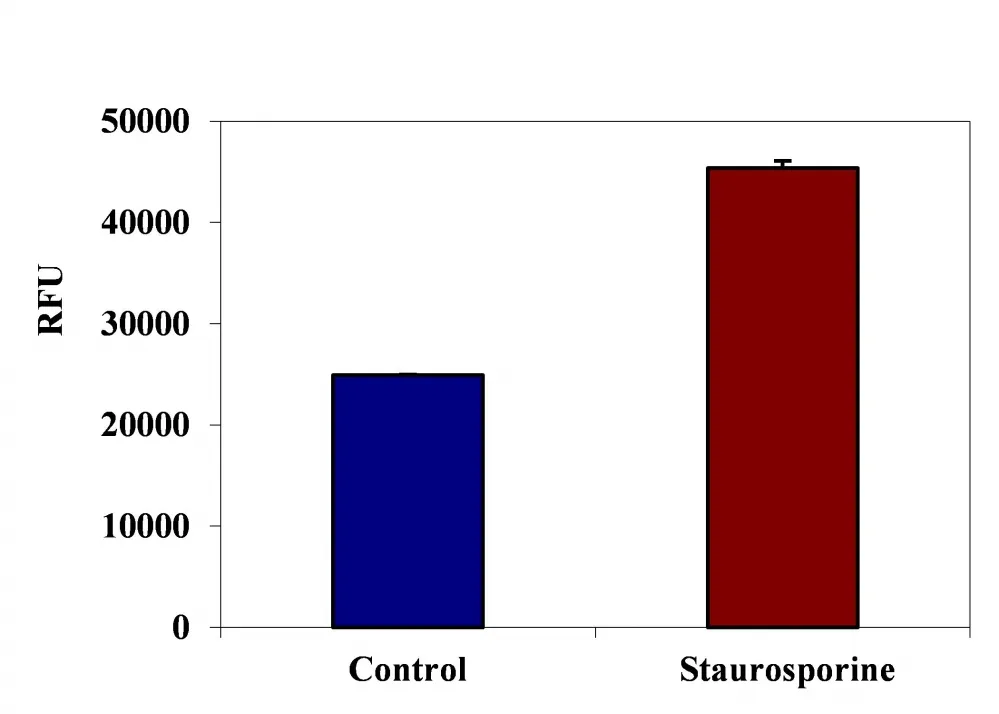 Cell Meter™ Live Cell Caspase 3/7 Binding Assay Kit *Red Fluorescence* - image 2