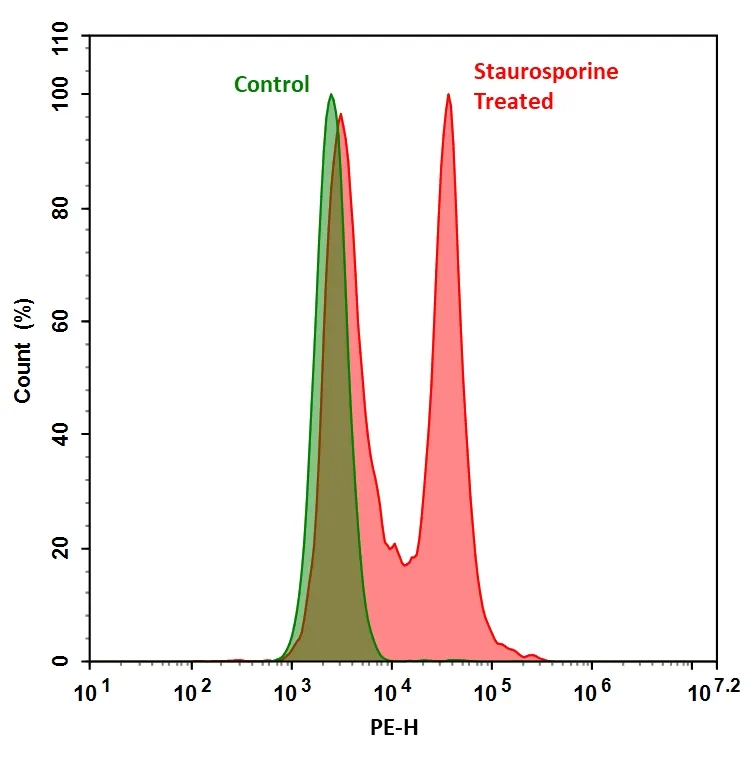 Cell Meter™ Live Cell Caspase 3/7 Binding Assay Kit *Red Fluorescence* - image 1