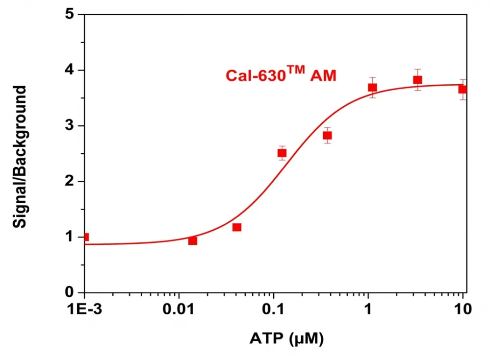 Cal-630™ AM - image 1