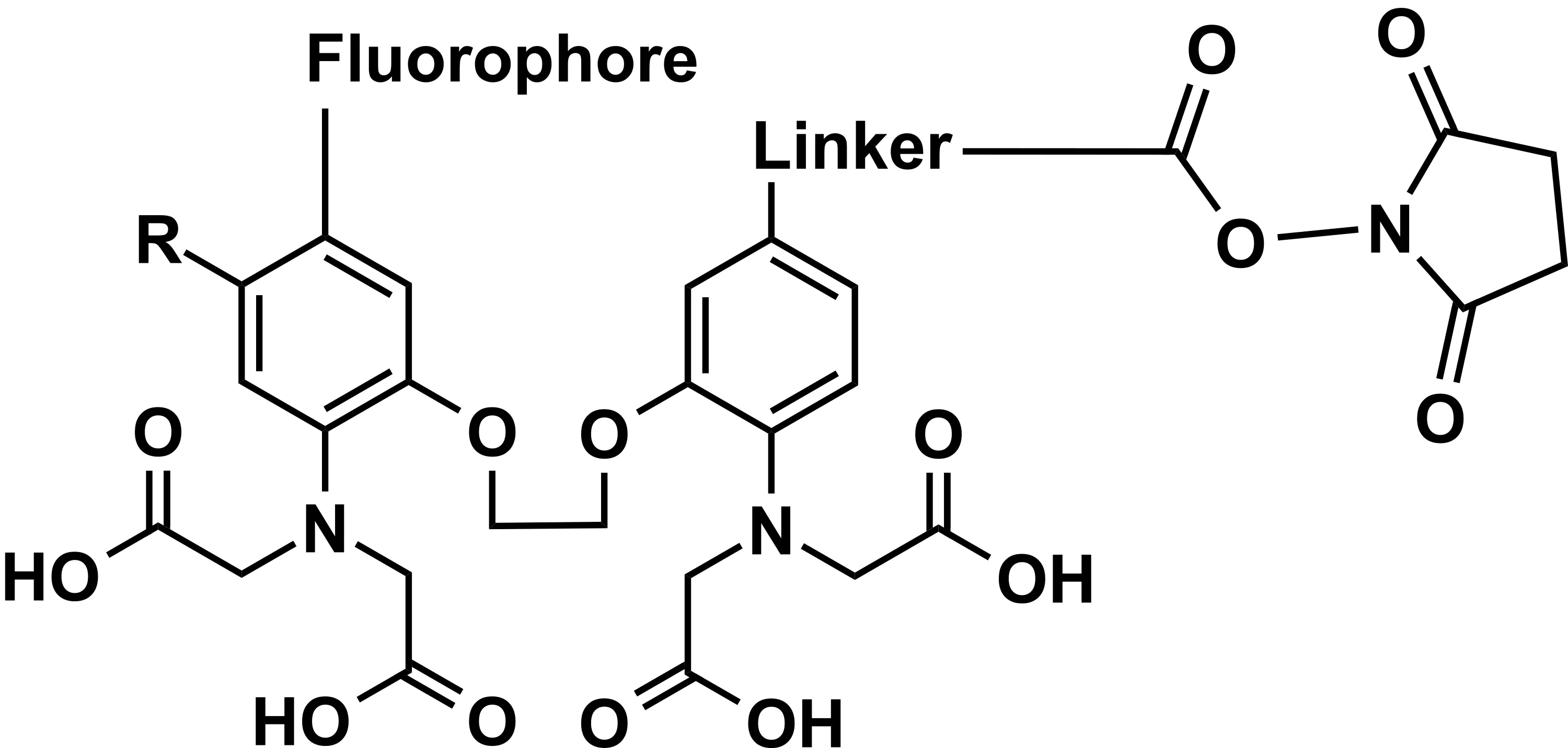 Cal-520® NHS Ester - image 1