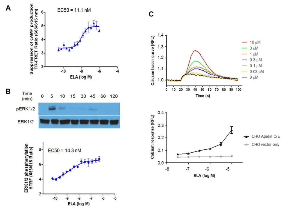 Fluo-8®, AM - image 2