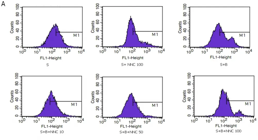 Fluo-8®, AM - image 17