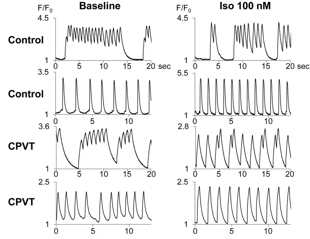 Fluo-8®, AM - image 18