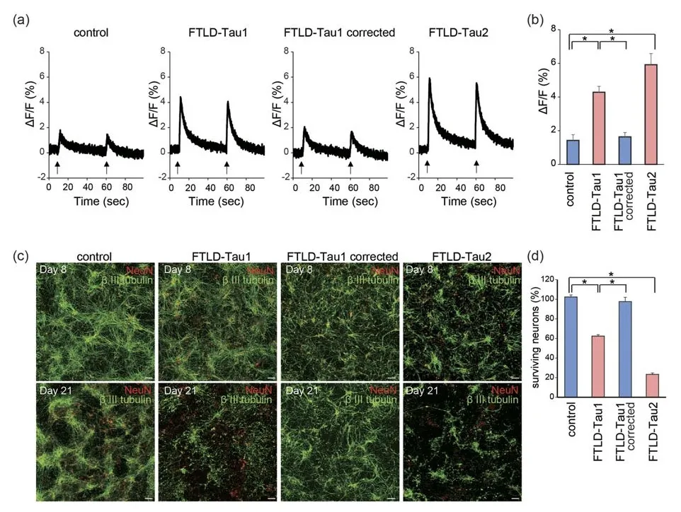 Fluo-8®, AM - image 4