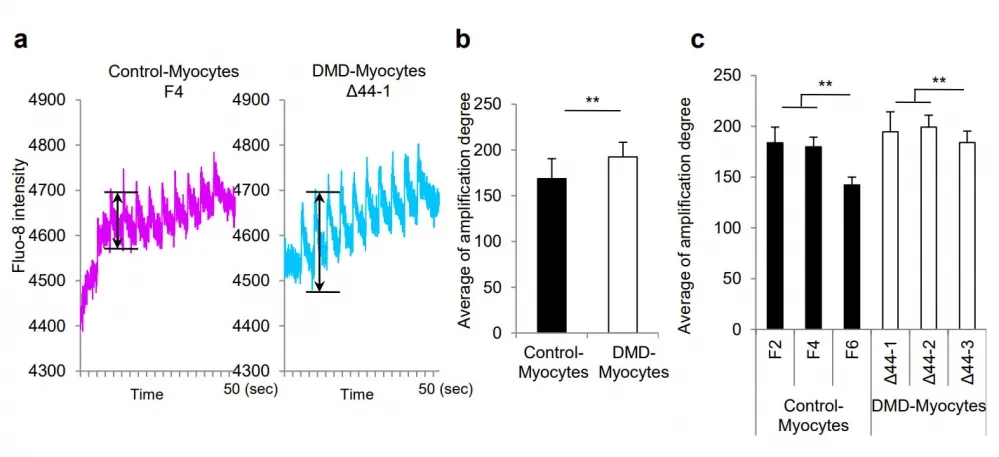 Fluo-8®, AM - image 8