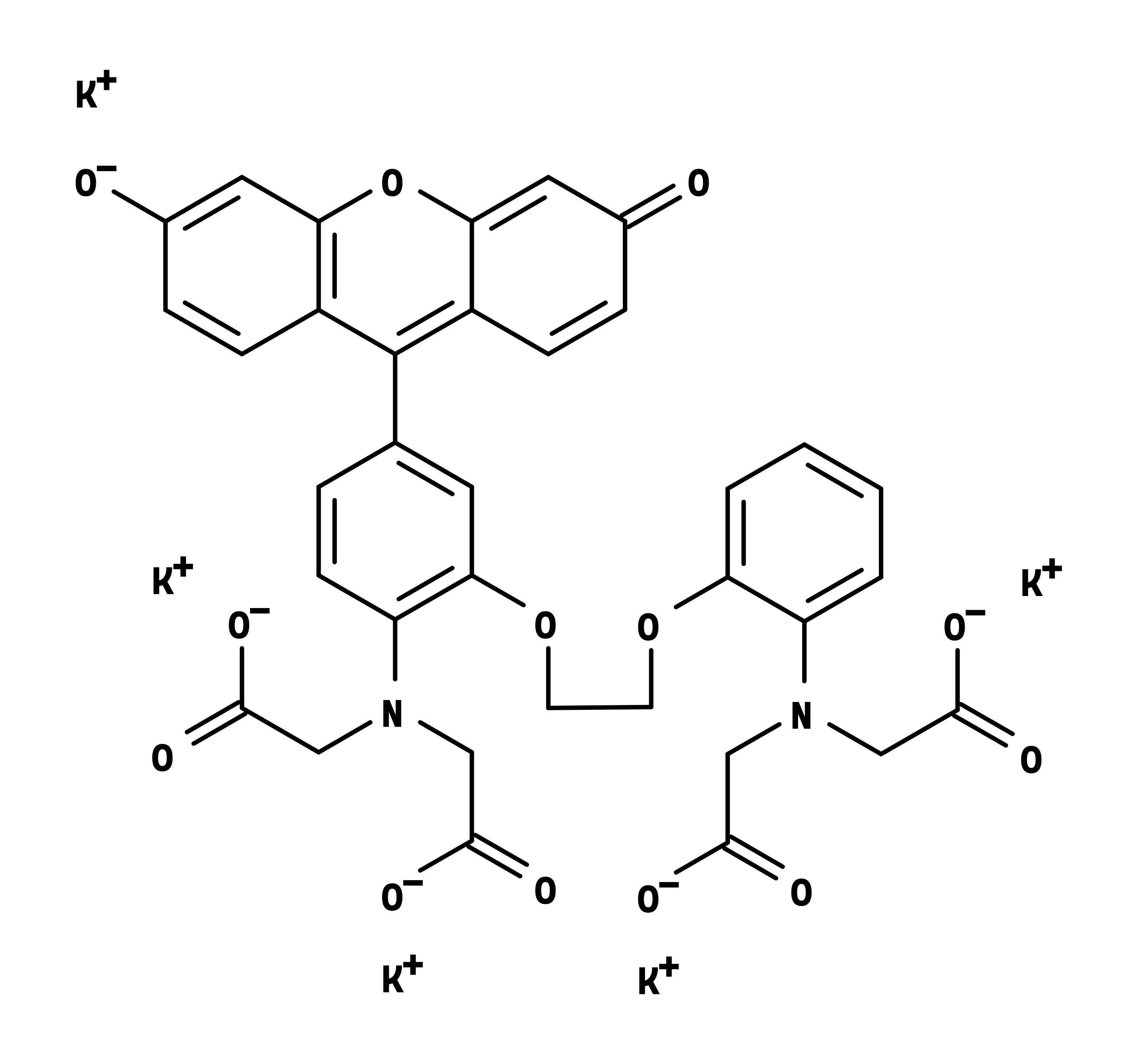 Fluo-8®, potassium salt - image 1