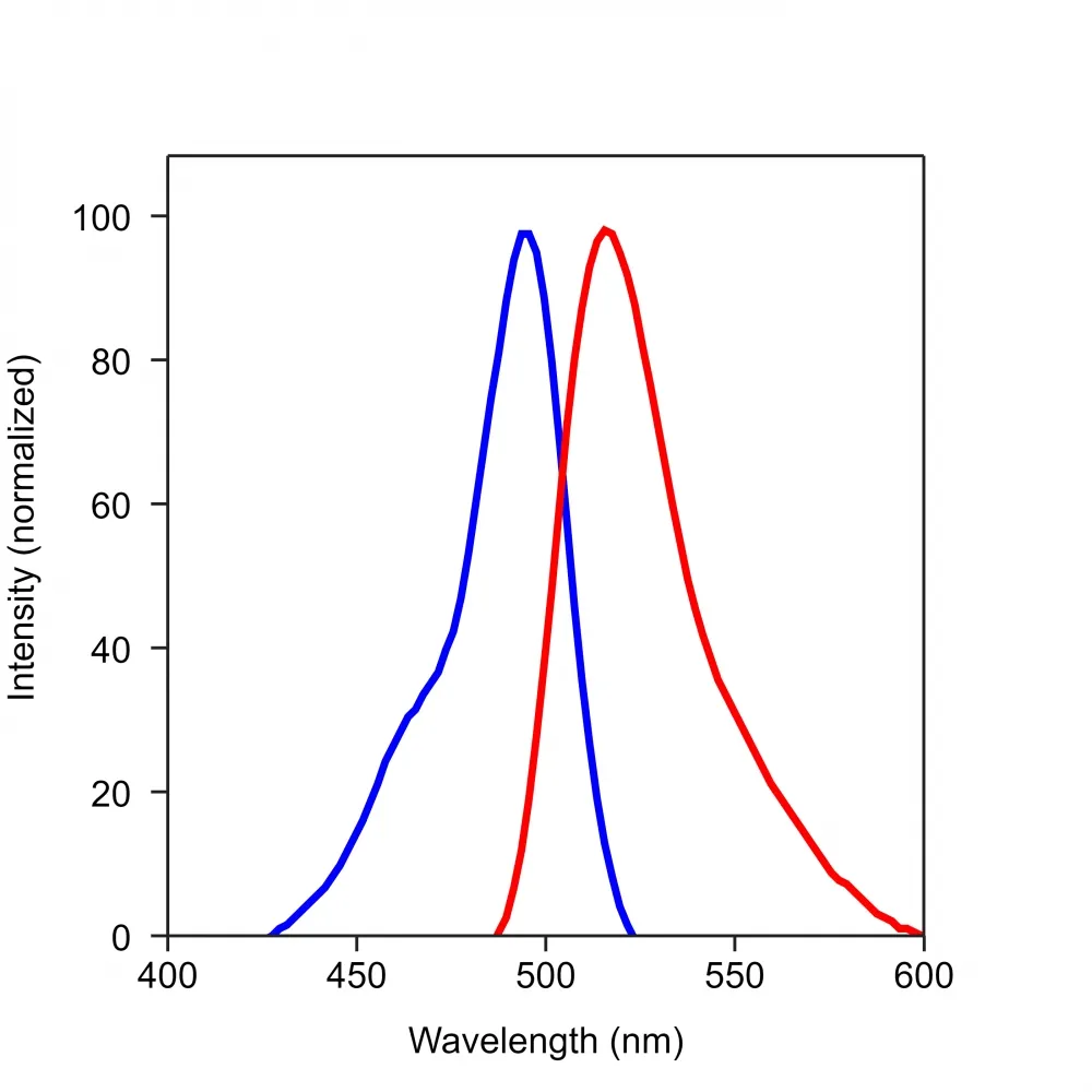 Fluo-8L™, sodium salt - image 1