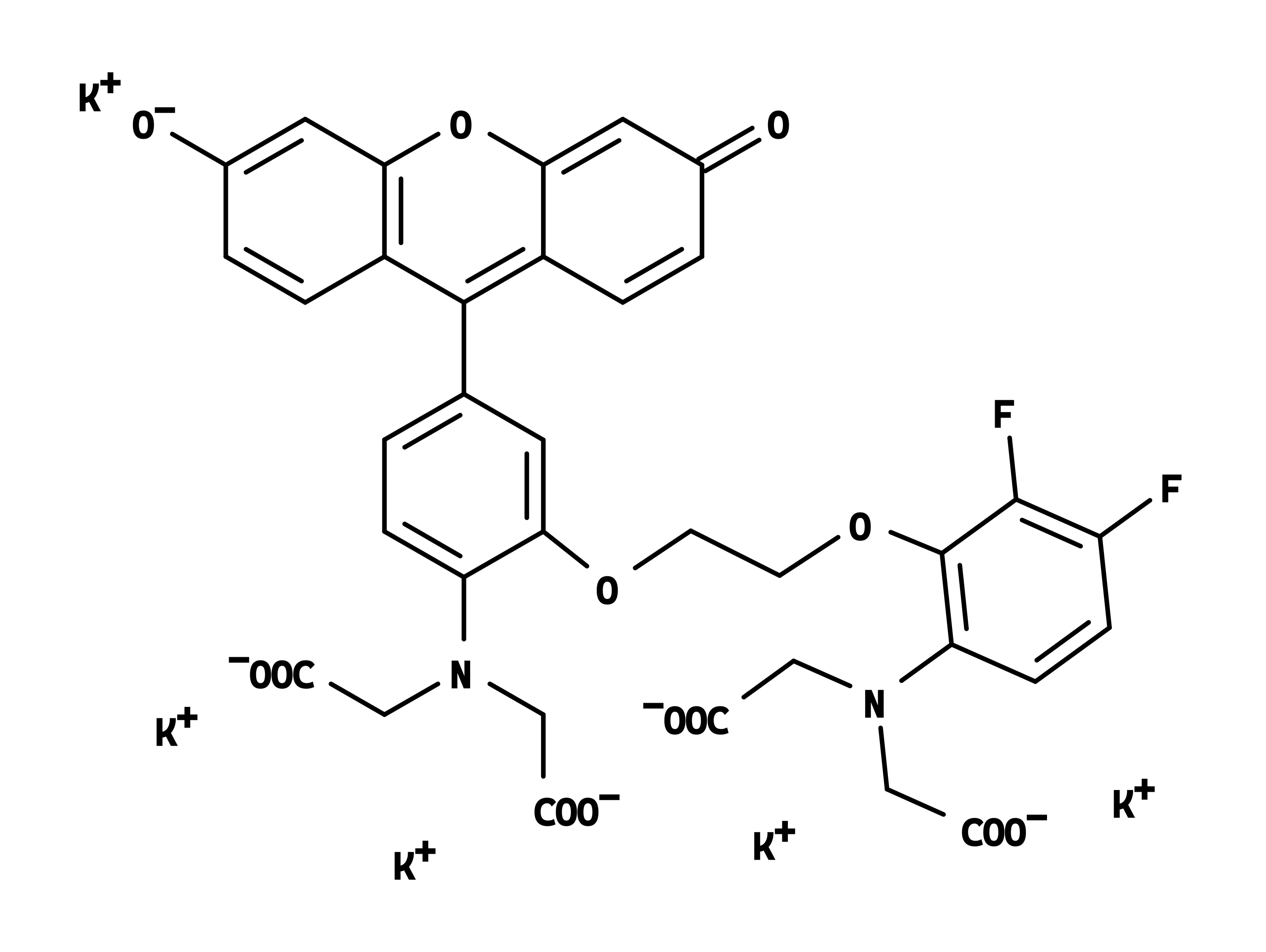 Fluo-8FF™, potassium salt - image 1
