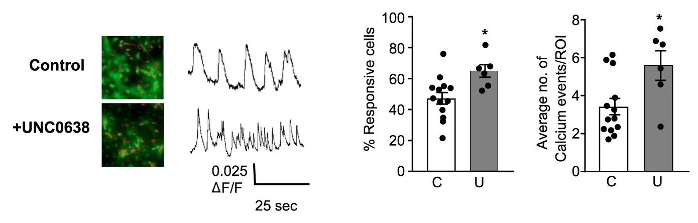 Cal-520®, AM - image 2