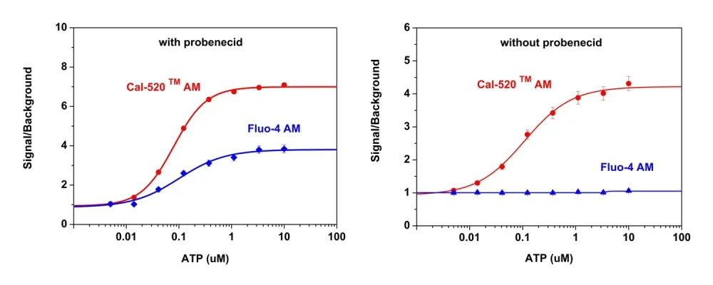 Cal-520®, AM - image 6