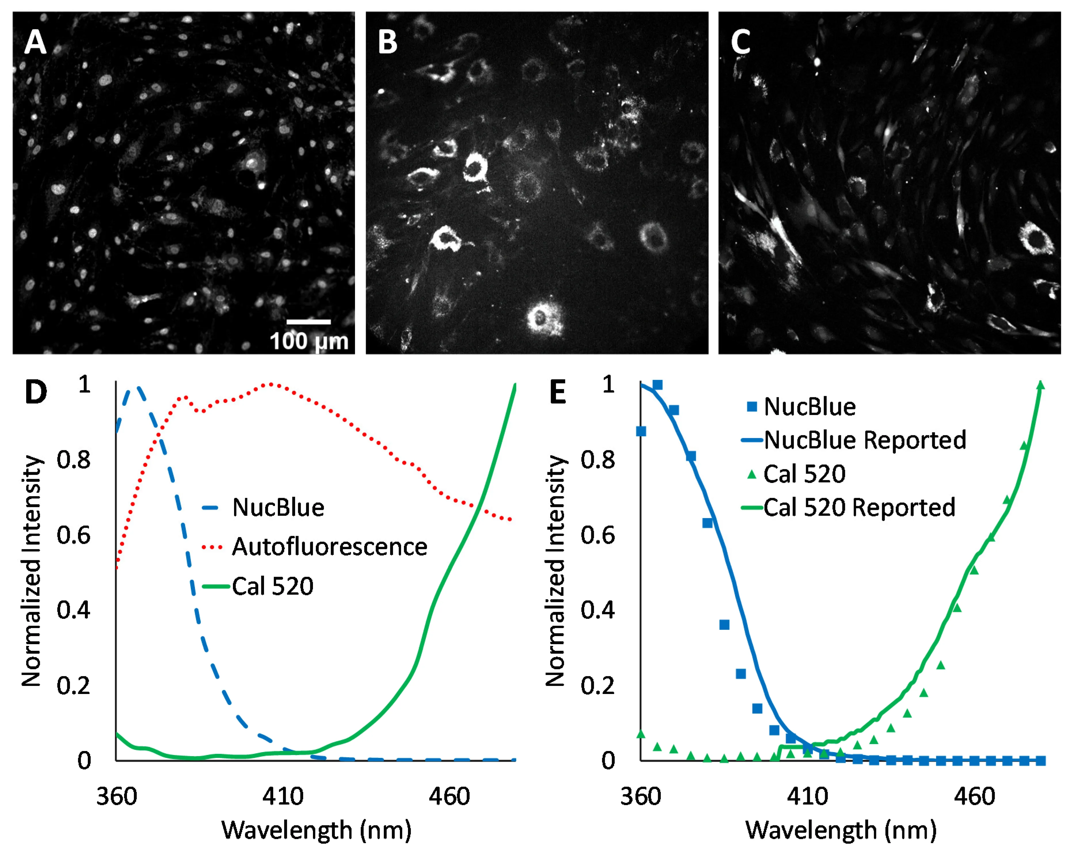 Cal-520®, AM - image 1