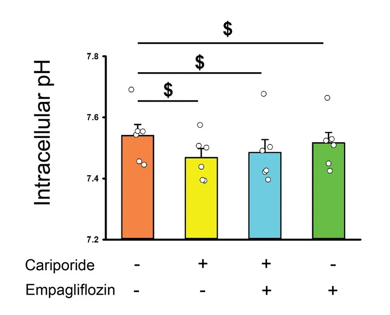 Cell Meter™ Fluorimetric Intracellular pH Assay Kit - image 2