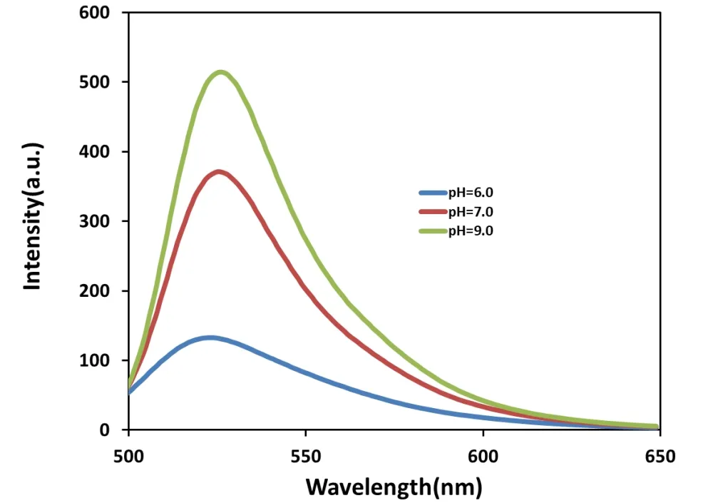 RatioWorks™ BCFL Acid *Superior replacement for BCECF* - image 2