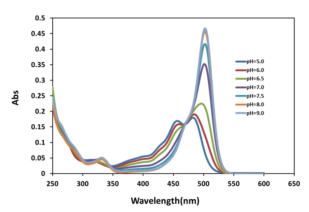 RatioWorks™ BCFL Acid *Superior replacement for BCECF* - image 1