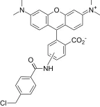 CytoTrace™ Orange CMTMR *CAS 323192-14-9* - image 1