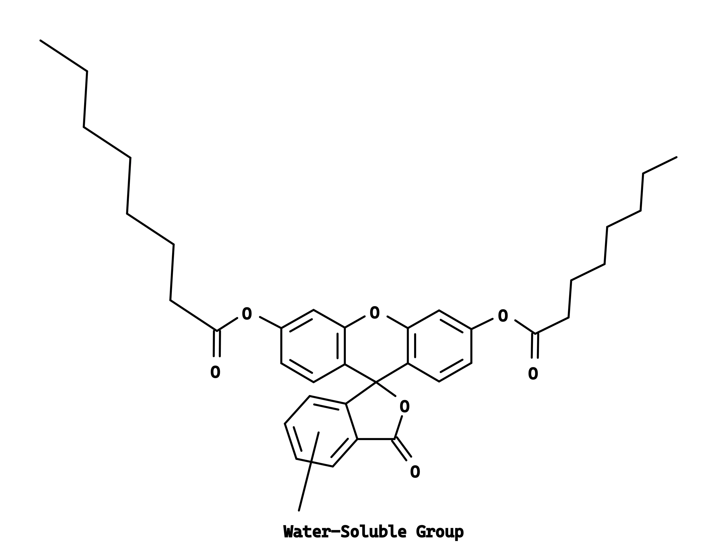 Fluorescein dicaprylate WS1 - image 1