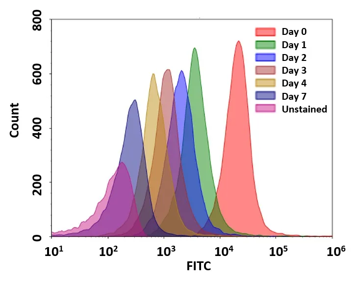 CytoTell™ UltraGreen - image 1