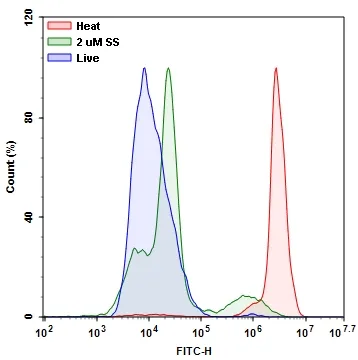 Live or Dead™ Fixable Dead Cell Staining Kit *Green Fluorescence* - image 2