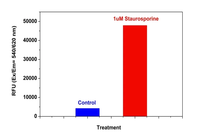 Cell Meter™ Caspase 3/7 Activity Apoptosis Assay Kit *Red Fluorescence* - image 1