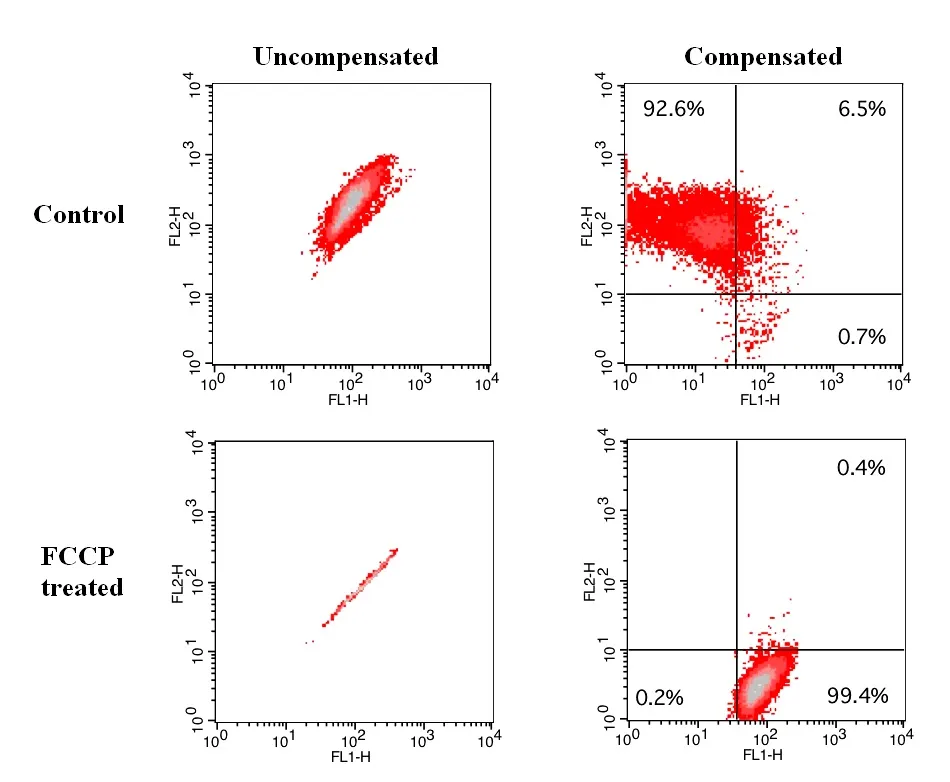 Cell Meter™ JC-10 Mitochondrion Membrane Potential Assay Kit *Optimized for Flow Cytometry Assays* - image 1