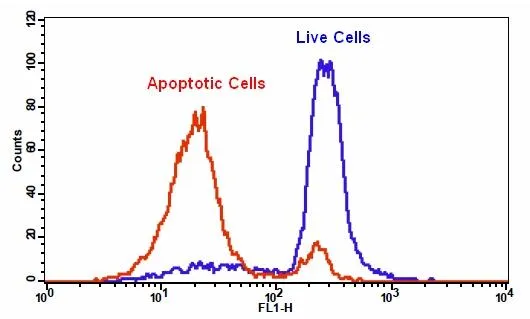 Cell Meter™ Intracellular GSH Assay Kit *Optimized for Flow Cytometry* - image 1