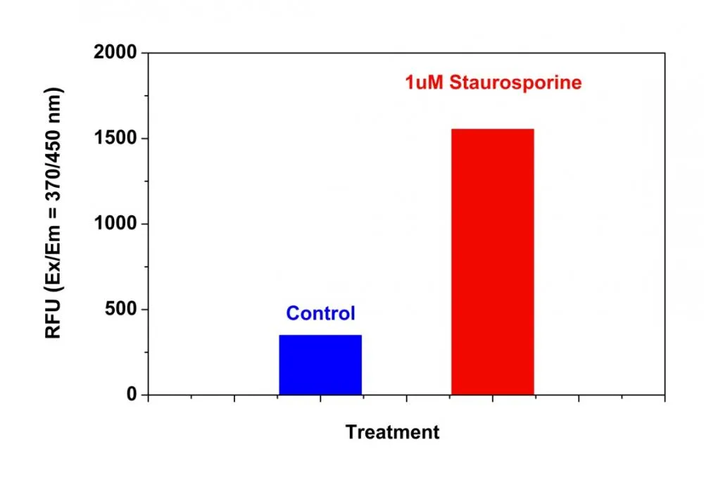 Cell Meter™ Caspase 8 Activity Apoptosis Assay Kit *Blue Fluorescence* - image 1