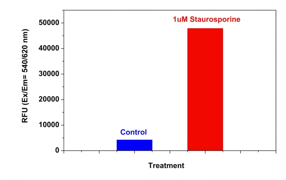 Cell Meter™ Caspase 8 Activity Apoptosis Assay Kit *Red Fluorescence* - image 1