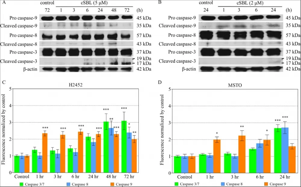 Cell Meter™ Multiplexing Caspase 3/7, 8 and 9 Activity Assay Kit *Triple Fluorescence Colors* - image 2
