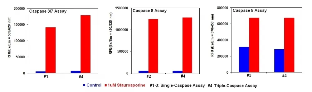 Cell Meter™ Multiplexing Caspase 3/7, 8 and 9 Activity Assay Kit *Triple Fluorescence Colors* - image 1
