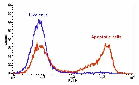 Cell Meter™ Phosphatidylserine Apoptosis Assay Kit *Green Fluorescence Optimized for Flow Cytometry* - image 1