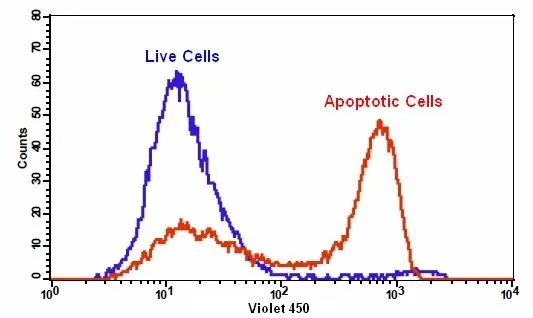 Cell Meter™ Phosphatidylserine Apoptosis Assay Kit *Blue Fluorescence Excited at 405 nm* - image 1