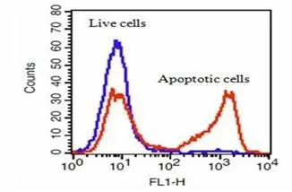Cell Meter™ Apoptotic and Necrotic Multiplexing Detection Kit I *Triple Fluorescence Colors* - image 2