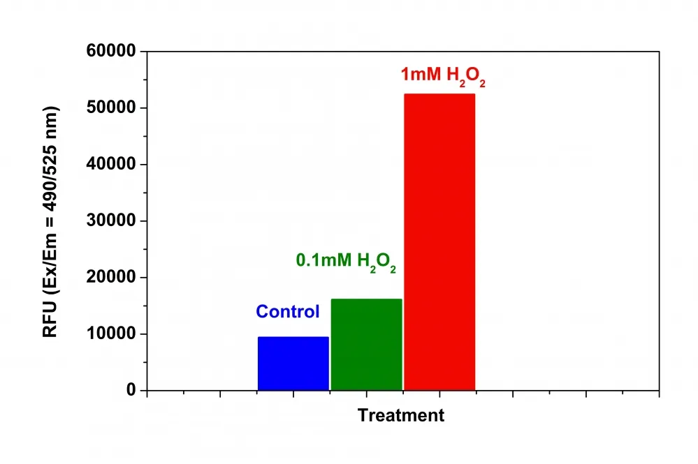 Cell Meter™ Fluorimetric Intracellular Total ROS Activity Assay Kit*Green Fluorescence* - image 1